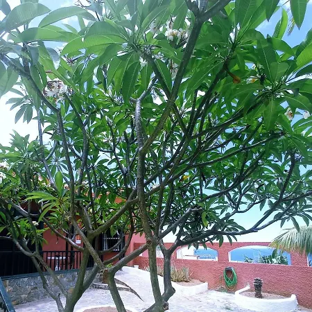 Live Garachico Daute Con Terraza Y Piscina *
