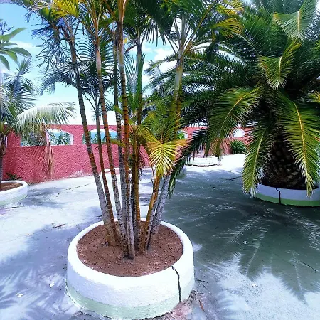 Live Garachico Daute Con Terraza Y Piscina 別荘
