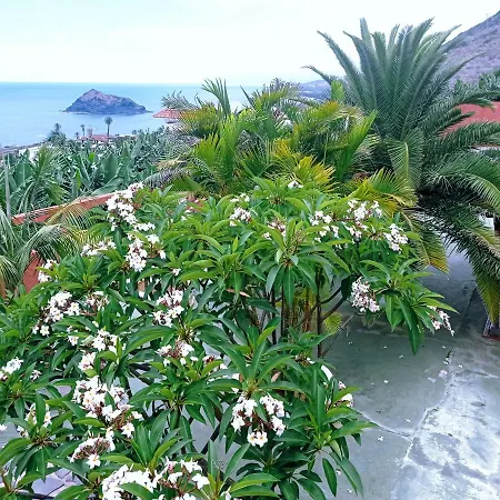 Live Garachico Daute Con Terraza Y Piscina Las Cruces (Canary)